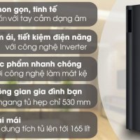 Tủ đông LG Inverter 165 lít GN-F304WB