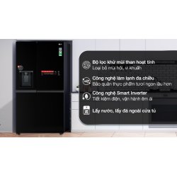 Tủ lạnh LG Inverter 635 lít Side By Side GR-D257WB 0