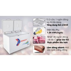 Tủ đông Sanaky 410 lít VH 5699HY