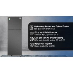 Tủ lạnh Samsung Inverter 305 lít RT31CG5424B1SV