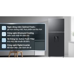 Tủ lạnh Samsung Inverter 382 lít RT38CG6584B1SV