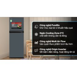 Tủ lạnh Toshiba Inverter 253 lít GR-RT329WE-PMV(52)
