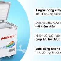 Tủ đông Sanaky 100 lít VH-1599HYK