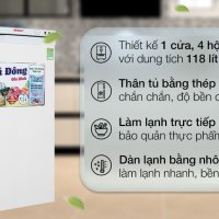 Tủ đông Sanaky 118 lít TD.VH160VD