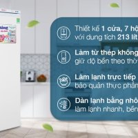 Tủ đông Sanaky 213 lít TD.VH230VD