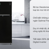 Tủ lạnh Samsung Inverter 256 lít RT25M4032BU/SV
