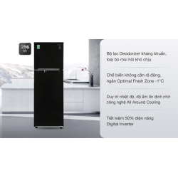 Tủ lạnh Samsung Inverter 256 lít RT25M4032BU/SV 0