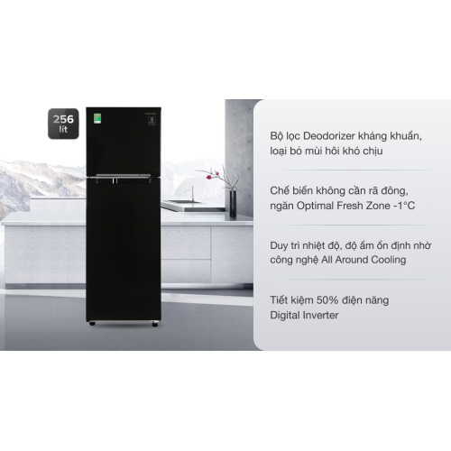 Tủ lạnh Samsung Inverter 256 lít RT25M4032BU/SV 0