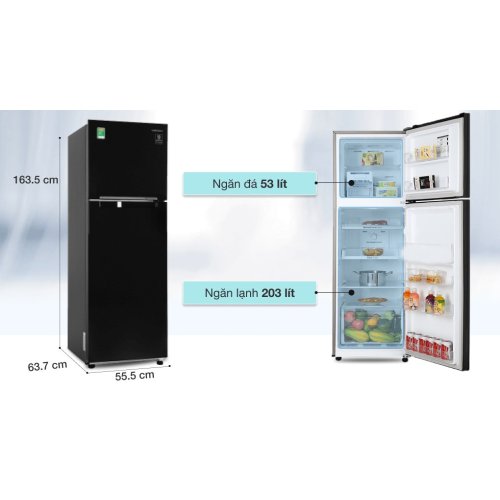 Tủ lạnh Samsung Inverter 256 lít RT25M4032BU/SV 2