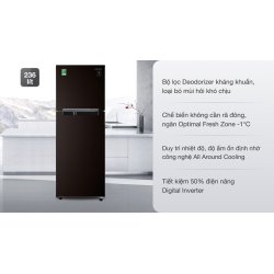 Tủ lạnh Samsung Inverter 236 lít RT22M4032BY/SV 0