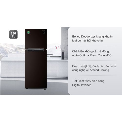 Tủ lạnh Samsung Inverter 236 lít RT22M4032BY/SV 0