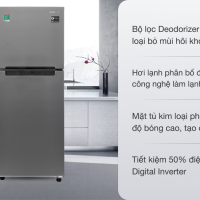 Tủ lạnh Samsung Inverter 208 lít RT19M300BGS/SV