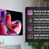 Smart Tivi OLED Evo LG 4K 55 inch 55G3PSA