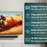 Google Tivi Sony 4K 43 inch K-43S25VM2