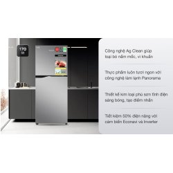 Tủ lạnh Panasonic Inverter 170 lít NR-BA190PPVN 0