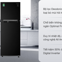 Tủ lạnh Samsung Inverter 236 lít RT22M4032BU/SV