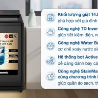 Máy giặt Panasonic Inverter 14.5 kg NA-FD290CEB