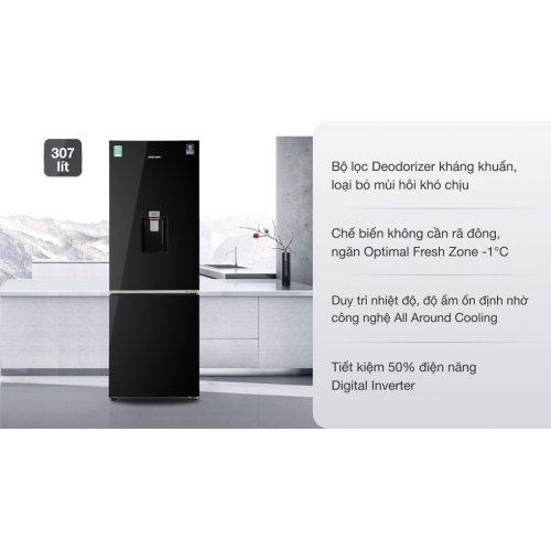Tủ lạnh Samsung Inverter 307 lít RB30N4190BU/SV 0