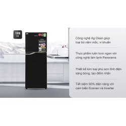Tủ lạnh Panasonic Inverter 188 lít NR-BA229PKVN 0